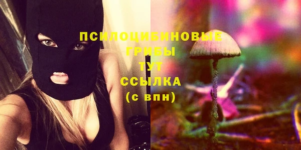 марки lsd Белокуриха